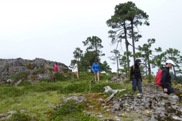 Senderismo interpretativo